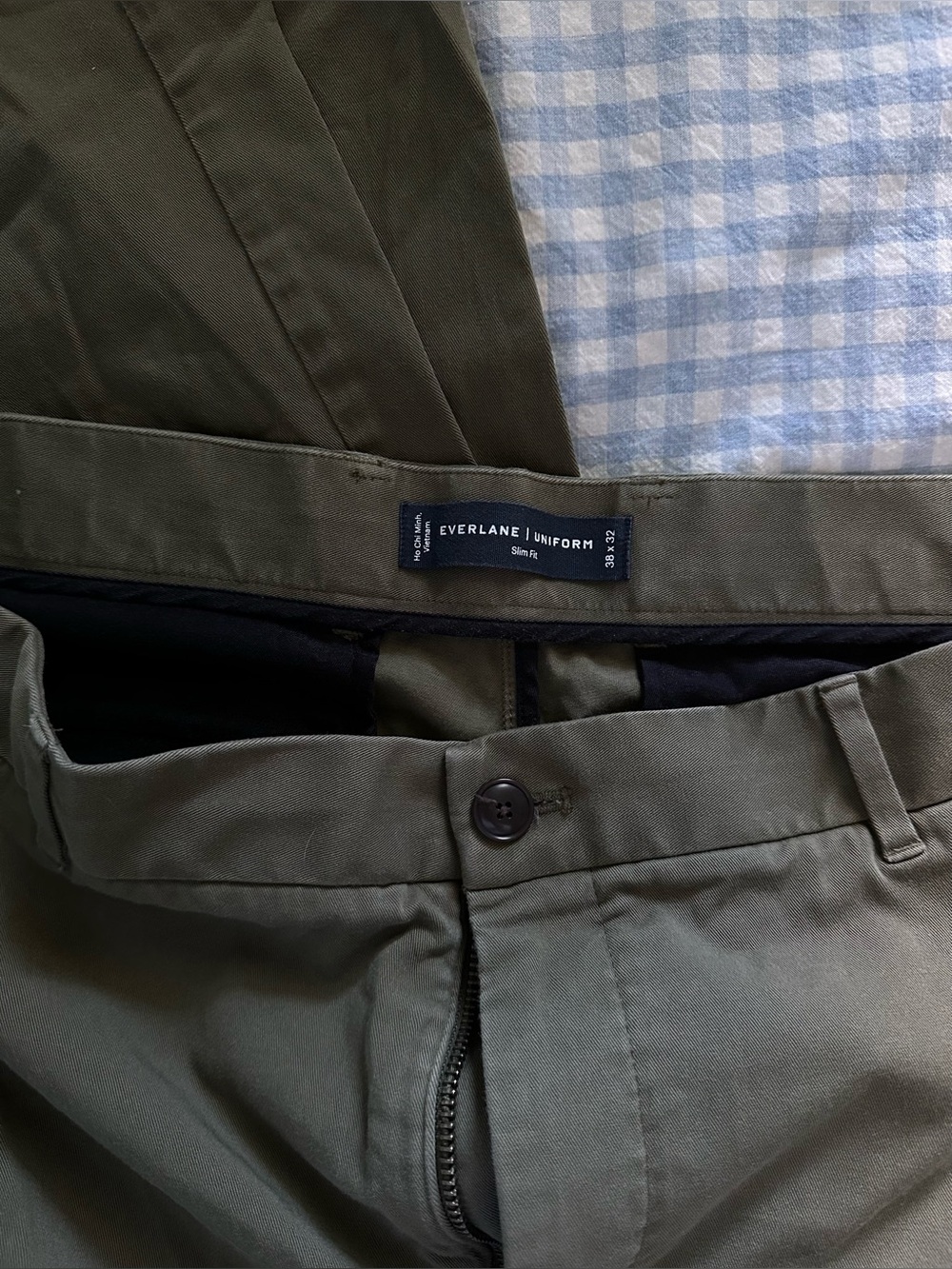 Everlane Olive Chinos